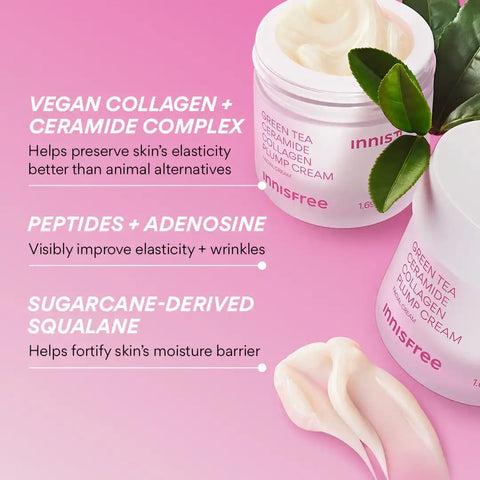 Green Tea Ceramide Plump Cream